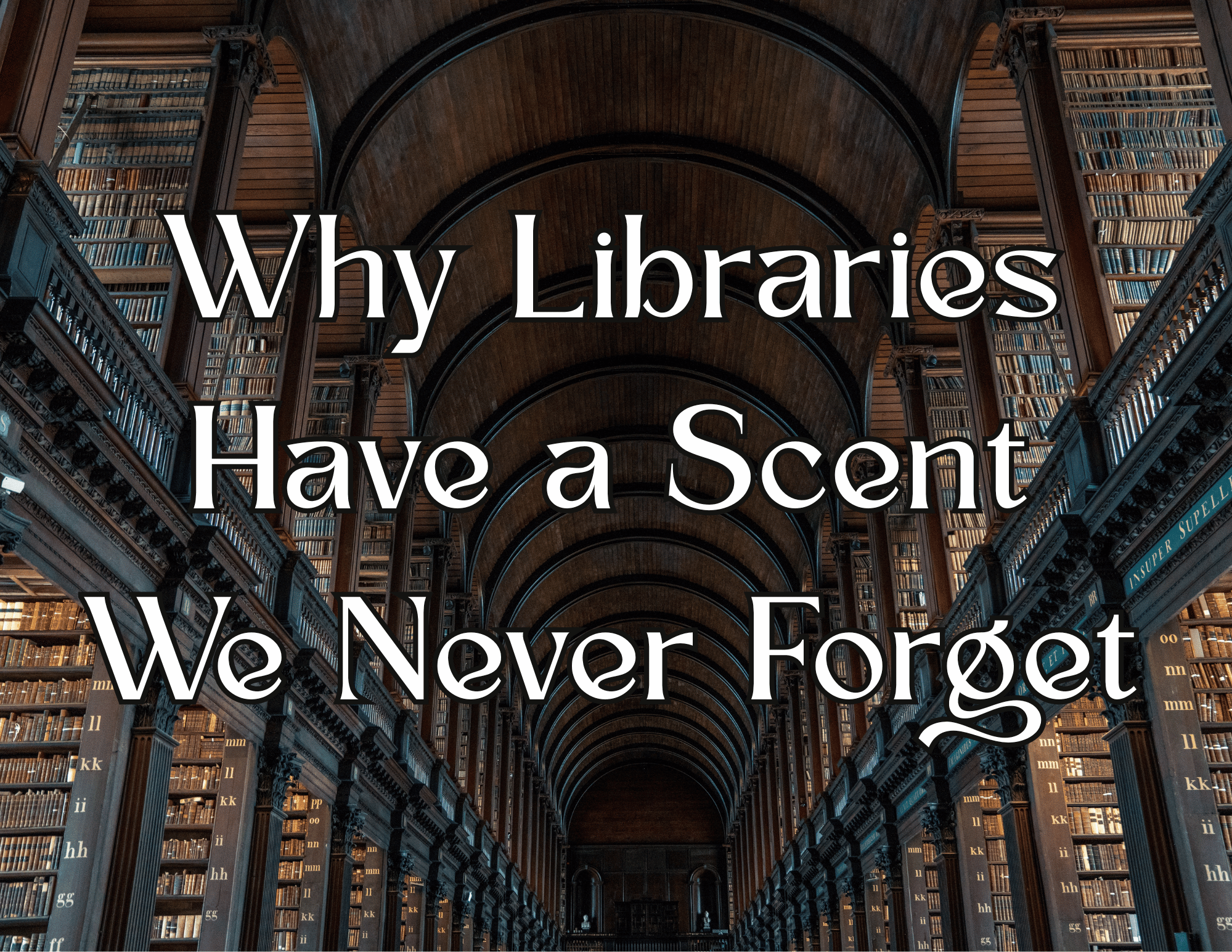 Why Libraries Have a Scent We Never Forget